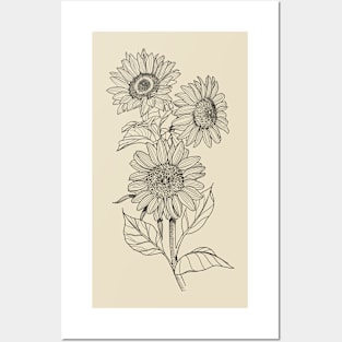 3 sunflowers Posters and Art